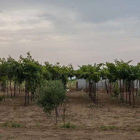 Apartamento Kalea Luxury Agia Anna (Naxos)