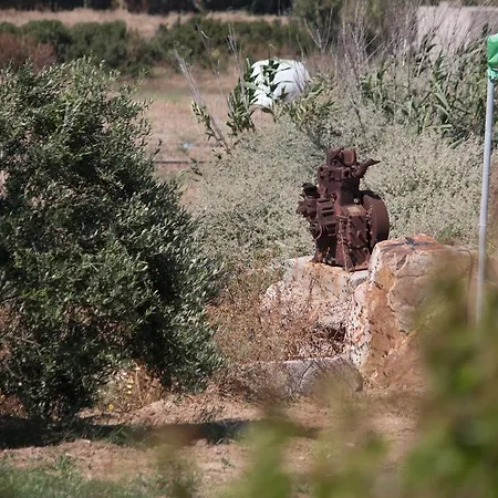 Daire Kalea Luxury Agia Anna (Naxos)