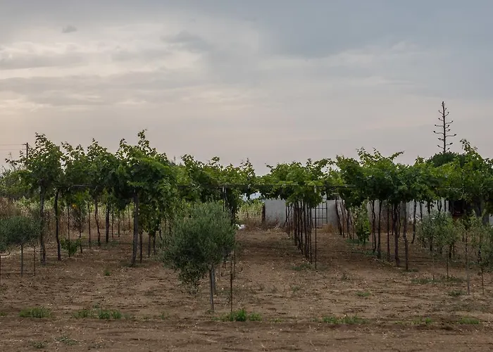 דירה Kalea Luxury Agia Anna (Naxos)