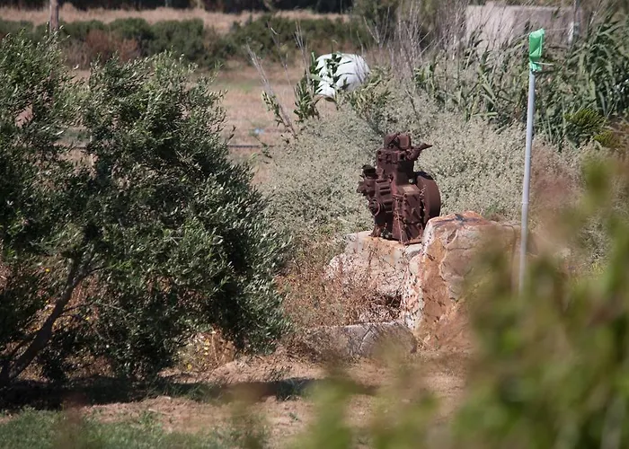 דירה Kalea Luxury Agia Anna (Naxos)